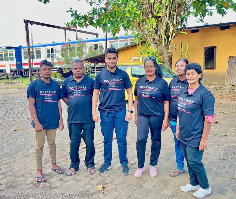 Animal Rehoming & Adoption care (9) copy